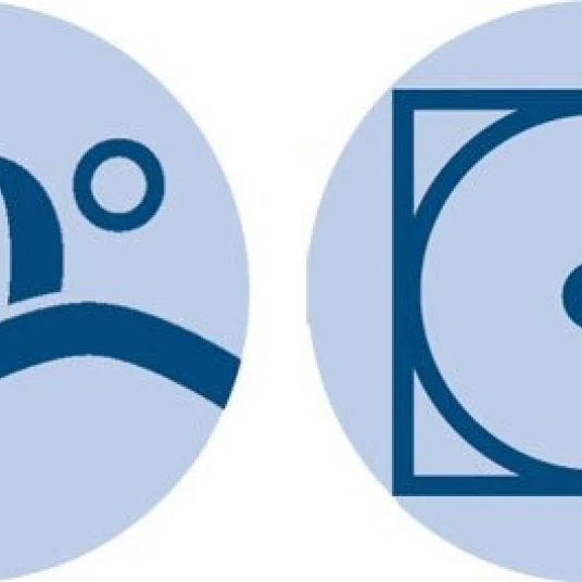 Alvi Kissen NOMITE® Federn & Daunen 40 x 60 cm 2 Alvi Kissen NOMITE® Federn & Daunen 40 x 60 cm – Bild 2