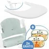Hauck 5-tlg. Essbrett-Set für Alpha Plus - Click Tray + Sitzkissen + GRATIS 2x Silikon-Teller - White Muslin Mint