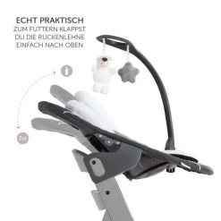 Hauck Alpha Plus Grau Newborn Set Deluxe - 4-tlg. Hochstuhl + 2in1 Neugeboreneneinsatz (verstellbar) + Sitzpolster -Wohnen & Schlafen Verkäufe hauck alpha plus grau newborn set deluxe 4 tlg hochstuhl 2in1 neugeboreneneinsatz verstellbar sitzpolster 1178 1857 7873 d4