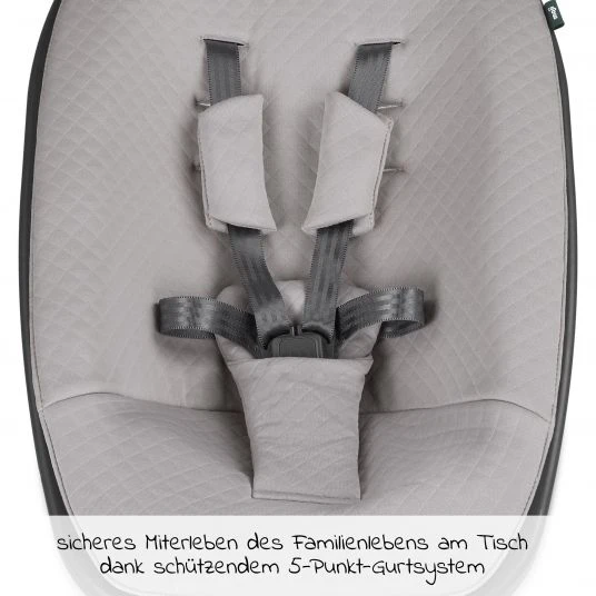 Moji Neugeborenenaufsatz inkl. Bezug, Matratze, Gurtsystem für Yippy Hochstuhl - Birch 3 Moji Neugeborenenaufsatz inkl. Bezug, Matratze, Gurtsystem für Yippy Hochstuhl - Birch – Bild 3