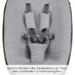 Moji Neugeborenenaufsatz inkl. Bezug, Matratze, Gurtsystem für Yippy Hochstuhl - Heart -Wohnen & Schlafen Verkäufe moji neugeborenenaufsatz inkl bezug matratze gurtsystem fur yippy hochstuhl heart 12003332016 d2